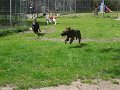 Afb_20160711 (27)